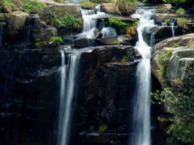 利川佛宝山森林公园