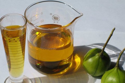 金丝桐油