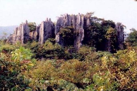 锣鼓圈岩溶石林